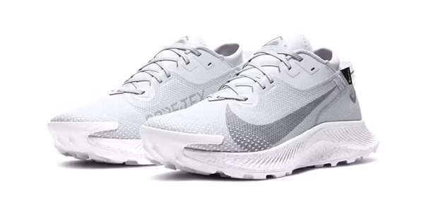 Nike Pegasus Trail 2 GTX